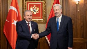 TBMM Başkanı Şentop, Karadağ Başbakanı Krivokapic ile bir araya geldi