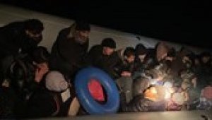 Bodrum'da 24 kaçak göçmen yakalandı
